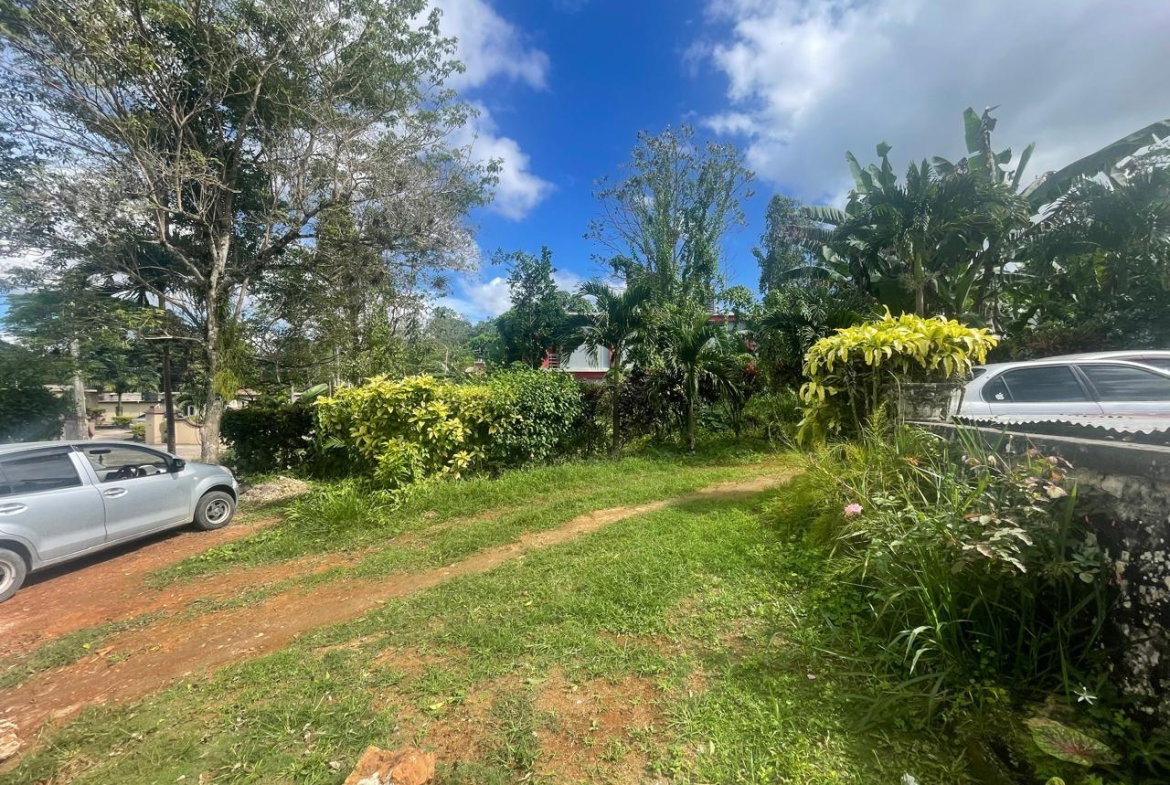 Eighteenth image of Land Part of Meldrum High in Alexandria, St. Ann, Jamaica - property is For Sale