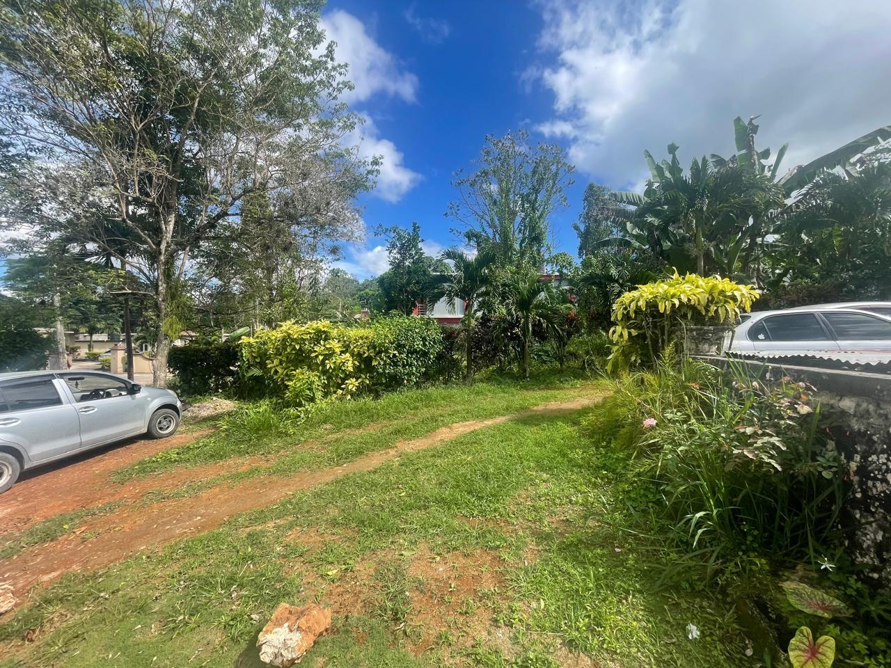 Eighteenth image of Land Part of Meldrum High in Alexandria, St. Ann, Jamaica - property is For Sale
