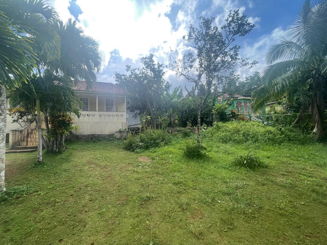 Eighth image of Land Part of Meldrum High in Alexandria, St. Ann, Jamaica - property is For Sale
