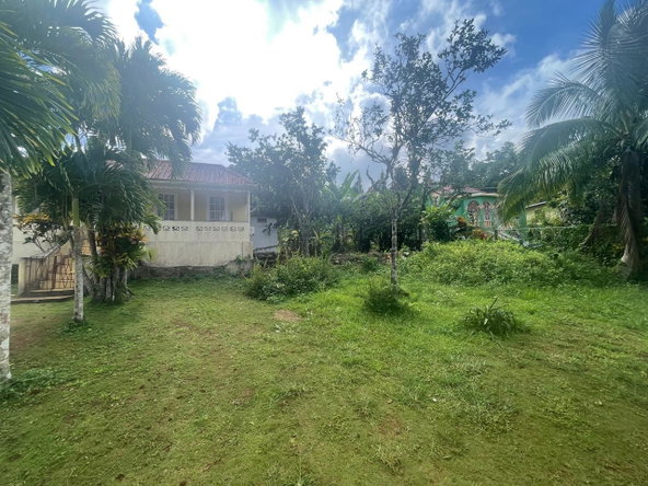Eighth image of Land Part of Meldrum High in Alexandria, St. Ann, Jamaica - property is For Sale