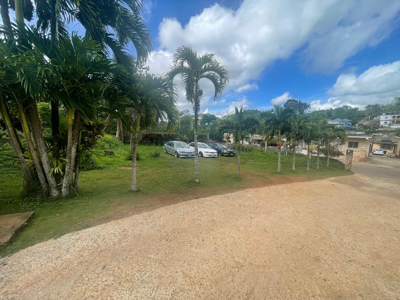 Ninth image of Land Part of Meldrum High in Alexandria, St. Ann, Jamaica - property is For Sale