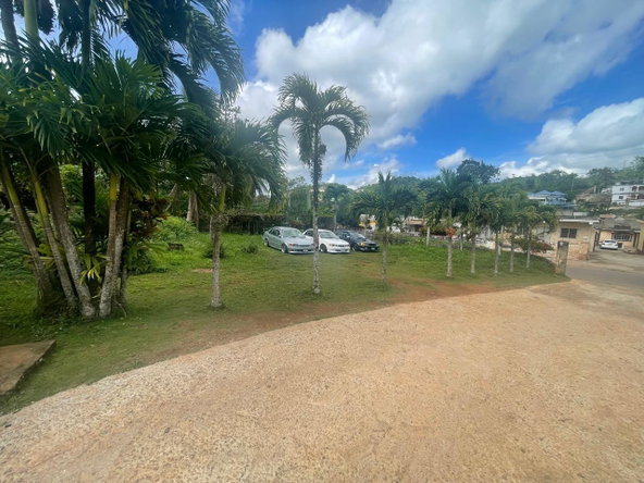 Ninth image of Land Part of Meldrum High in Alexandria, St. Ann, Jamaica - property is For Sale