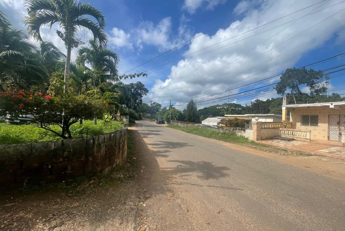 Tenth image of Land Part of Meldrum High in Alexandria, St. Ann, Jamaica - property is For Sale