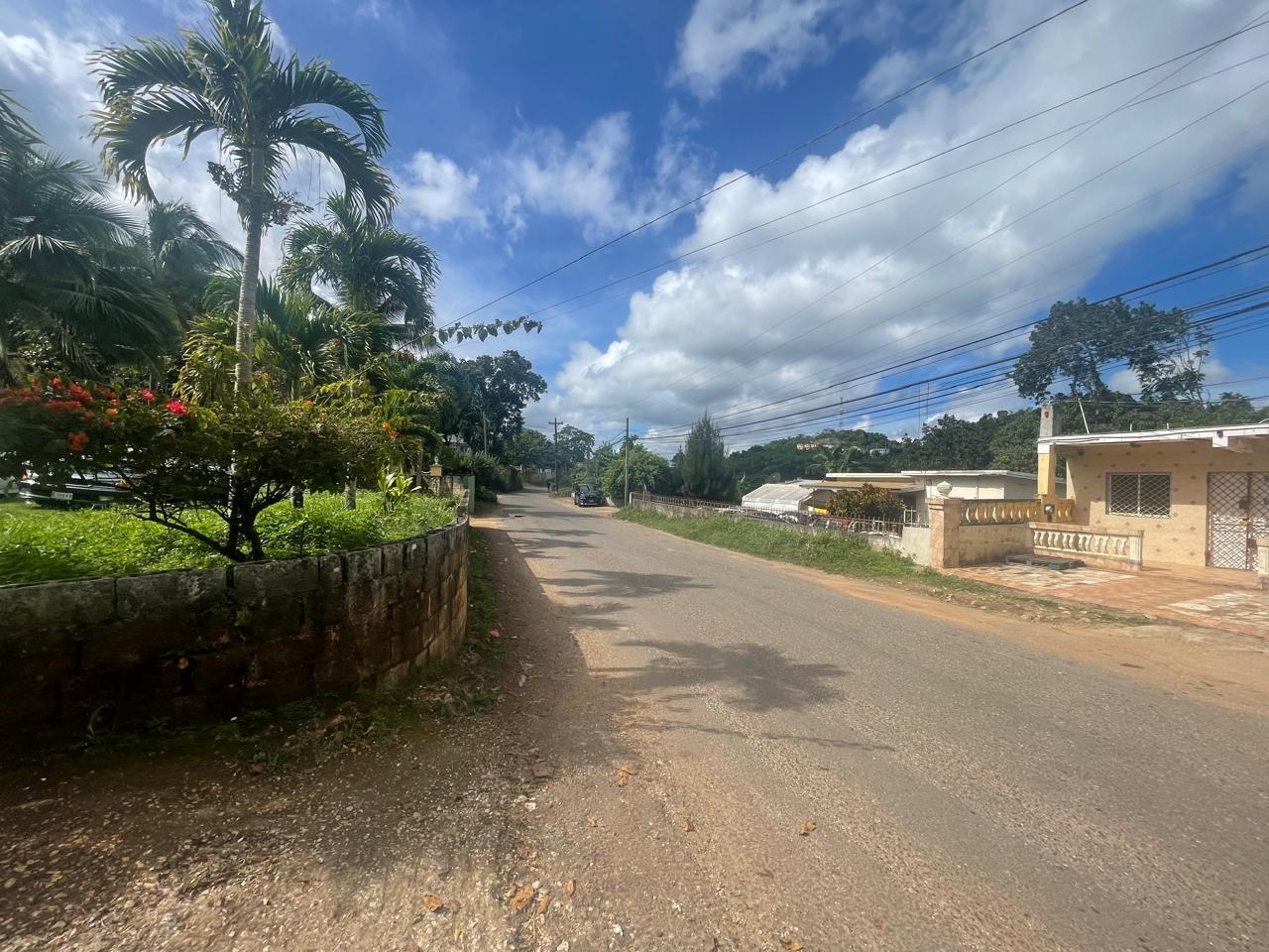 Tenth image of Land Part of Meldrum High in Alexandria, St. Ann, Jamaica - property is For Sale
