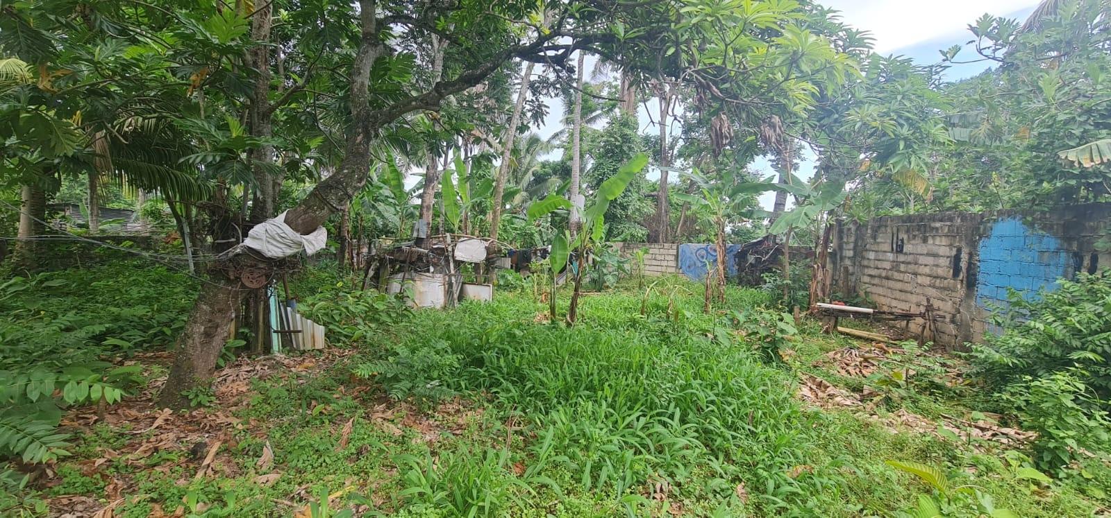 Eighth image of 1&3 Church Street, Ewarton, s in Ewarton, St. Catherine, Jamaica - property is For Sale