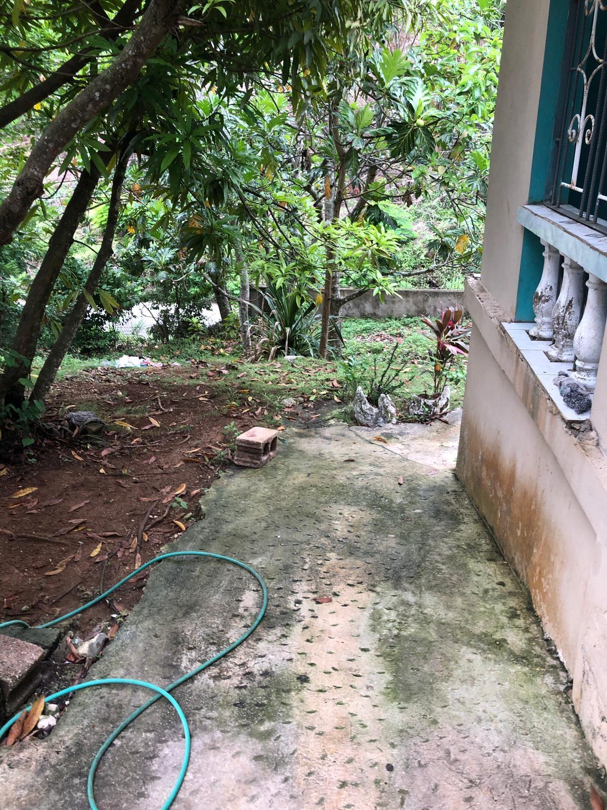 Fixer-Upper-for-Sale-in-St.-Ann-Jamaica-5.6-Acres-with-Two-Dwellings Fourth image of Williams Field Dumbarton in Dunbarton, St. Ann, Jamaica - property is For Sale