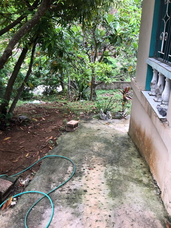 Fourth image of Williams Field Dumbarton in Dunbarton, St. Ann, Jamaica - property is For Sale