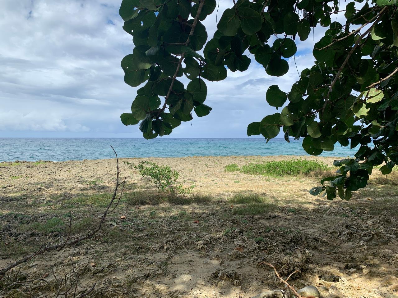 For-Rent-Centrally-Located-House-in-Industry-Cove-Hanover-Jamaica Third image of Lot 21 Industry Cove, Hanover in Green Island, Hanover, Jamaica - property is For Rent