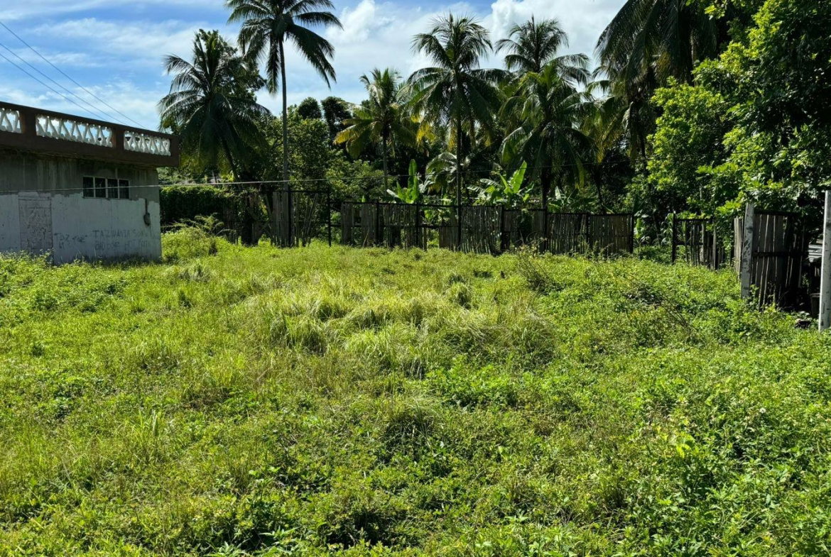 Seventh image of Land Part of Summerfield in Summerfield, Clarendon, Jamaica - property is For Sale