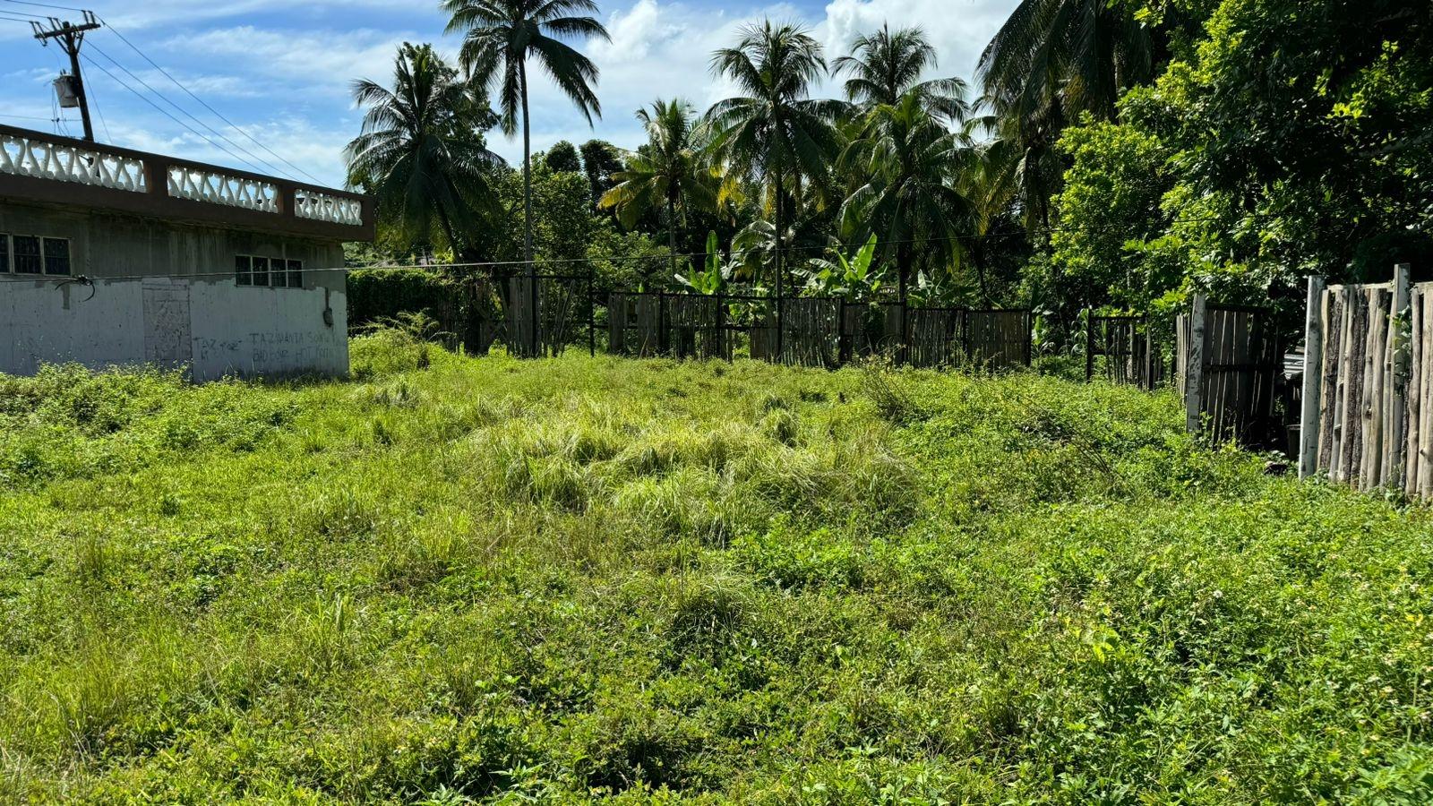 Seventh image of Land Part of Summerfield in Summerfield, Clarendon, Jamaica - property is For Sale