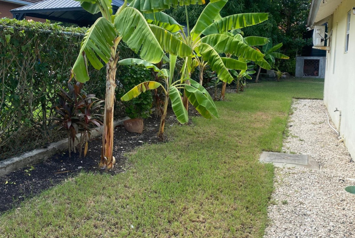 Eleventh image of 191- Hartland Estate in Priory, St. Ann, Jamaica - property is For Rent