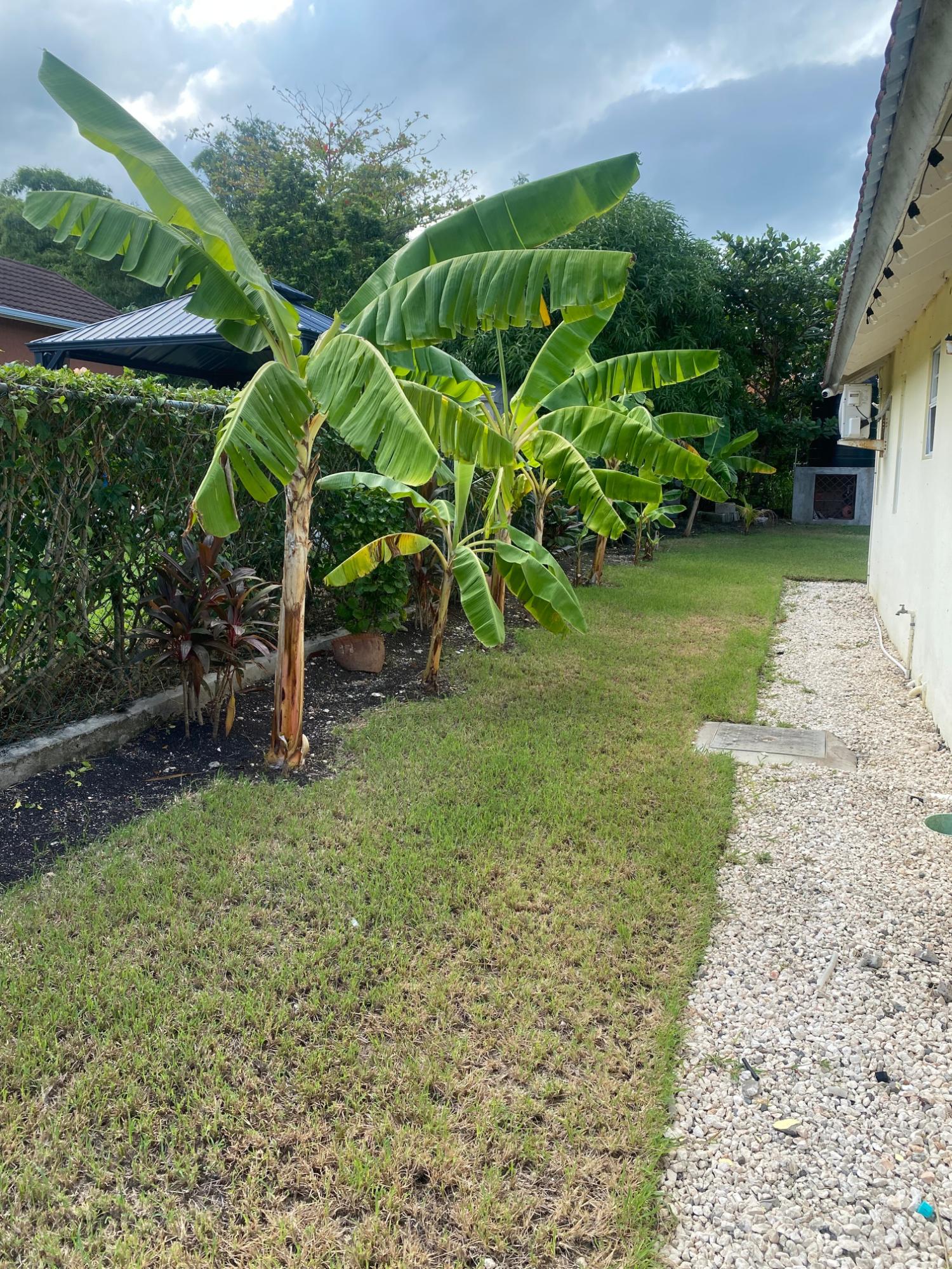 Eleventh image of 191- Hartland Estate in Priory, St. Ann, Jamaica - property is For Rent
