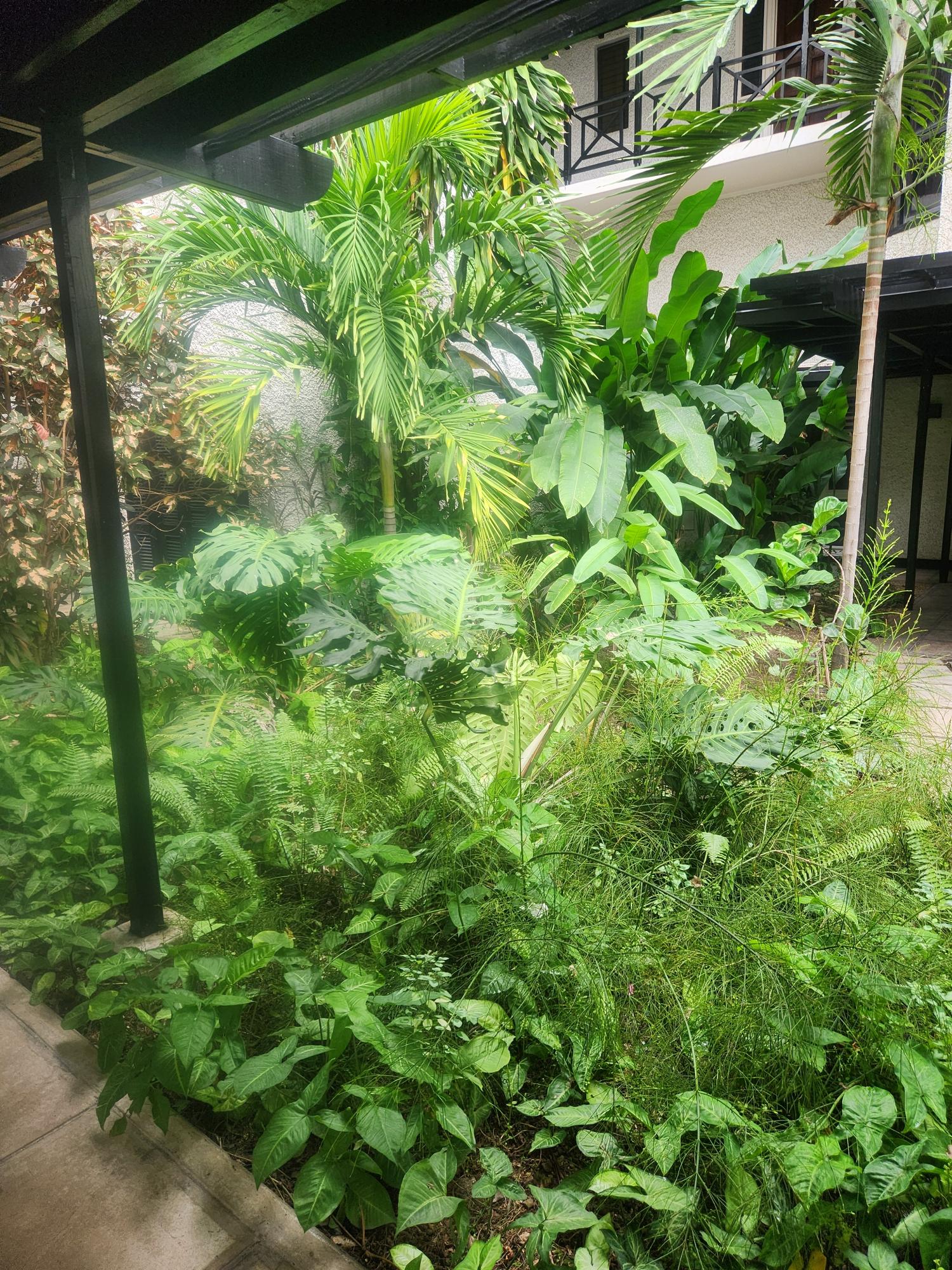 Second image of 208-1 Caribbean Close in Kingston 5, St. Andrew, Jamaica - property is For Rent