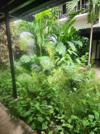 Second image of 208-1 Caribbean Close in Kingston 5, St. Andrew, Jamaica - property is For Rent