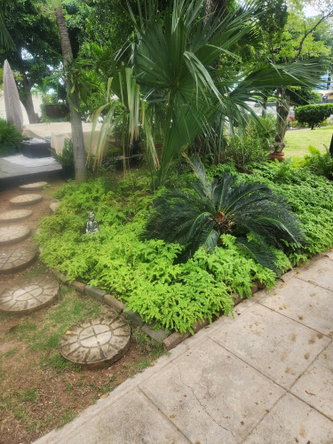 Twenty-Second image of 208-1 Caribbean Close in Kingston 5, St. Andrew, Jamaica - property is For Rent