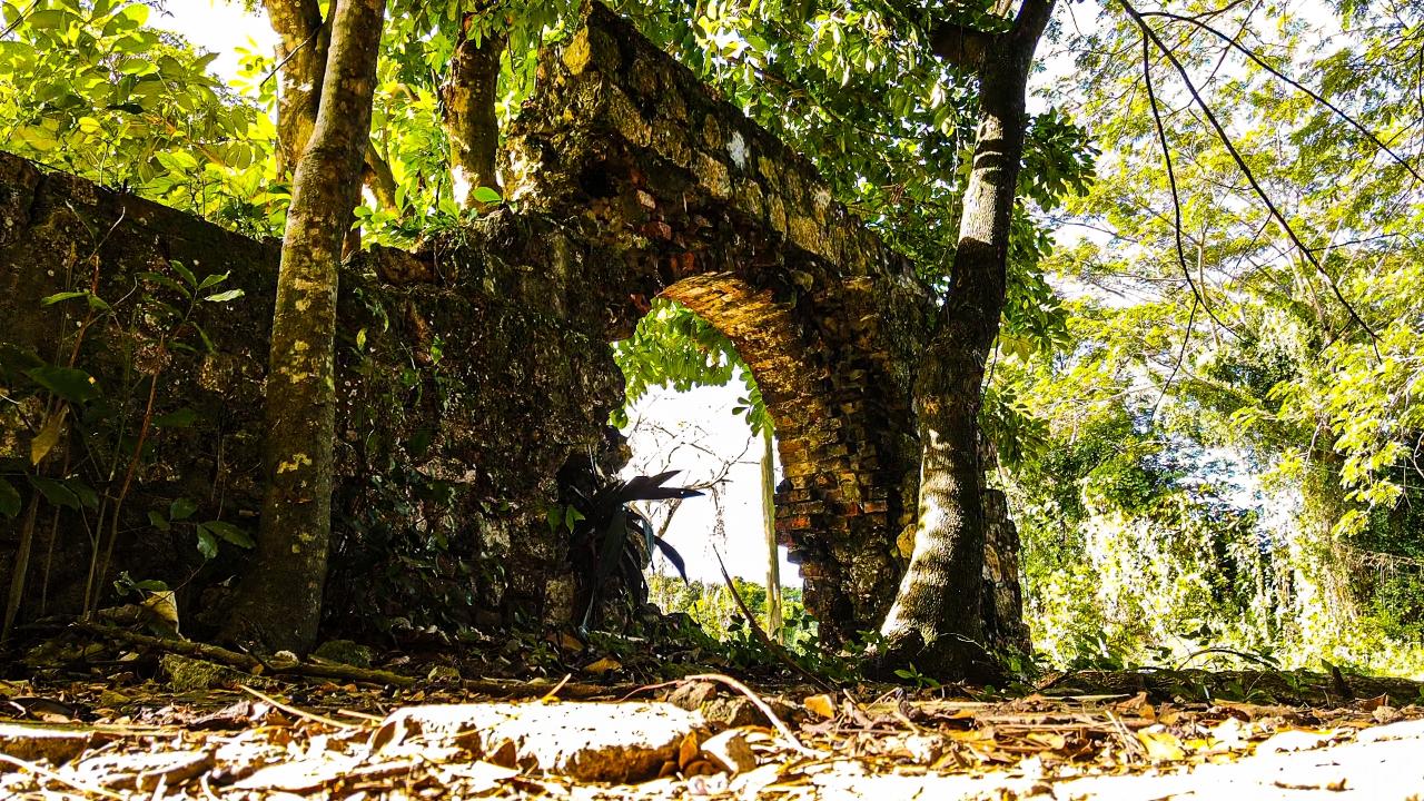 Seventh image of Haughton Court, Lucea in Lucea, Hanover, Jamaica - property is For Sale
