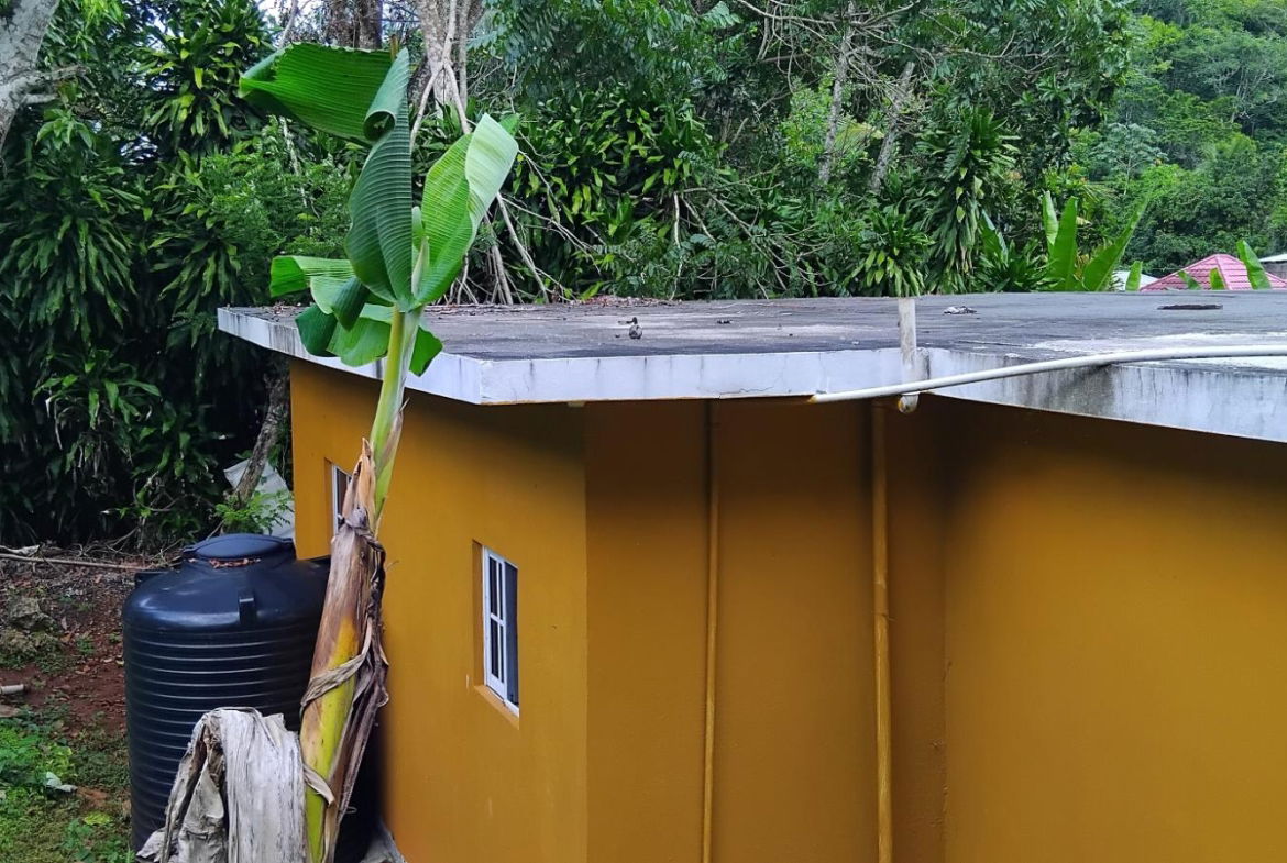 Sixth image of Lot 1-roadside Retirement Road, Roadside in Moneague, St. Ann, Jamaica - property is For Sale