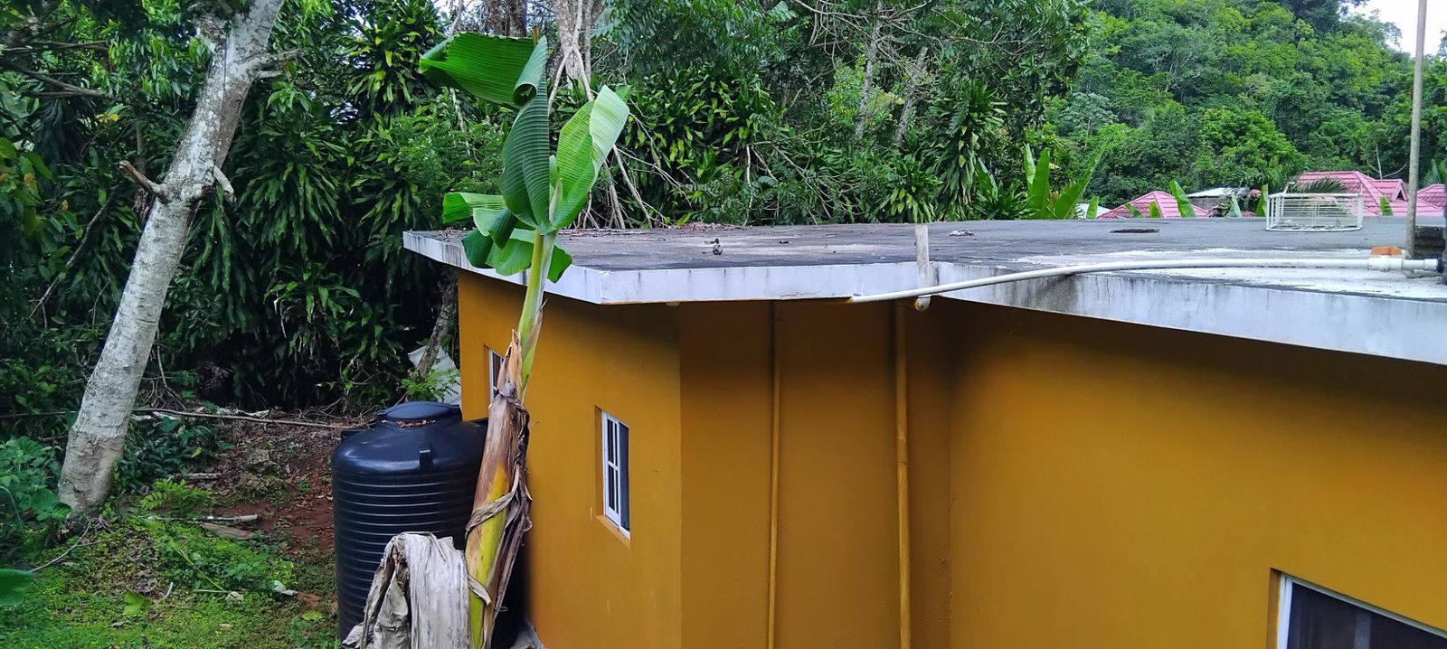 Income-Generating-Homes-for-Sale-in-Moneague-Jamaica Sixth image of Lot 1-roadside Retirement Road, Roadside in Moneague, St. Ann, Jamaica - property is For Sale