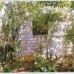 First image of Land Pt- Simon, Sligoville in Sligoville, St. Catherine, Jamaica - property is For Sale