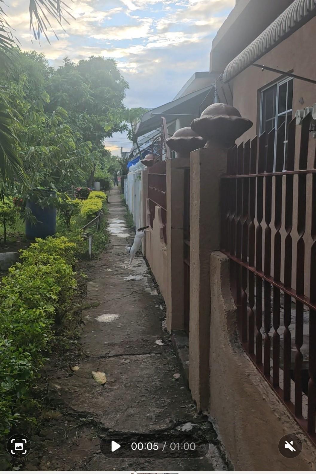 Investment-Opportunity-4-Bedroom-Multi-Family-Home-in-St.-Catherine-Jamaica Twenty-Ninth image of Lot 289 West Queens Park in Greater Portmore, St. Catherine, Jamaica - property is For Sale