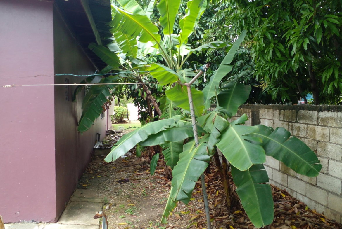 Twelfth image of 14 Wildwood Close, Westmore in Spanish Town, St. Catherine, Jamaica - property is For Sale