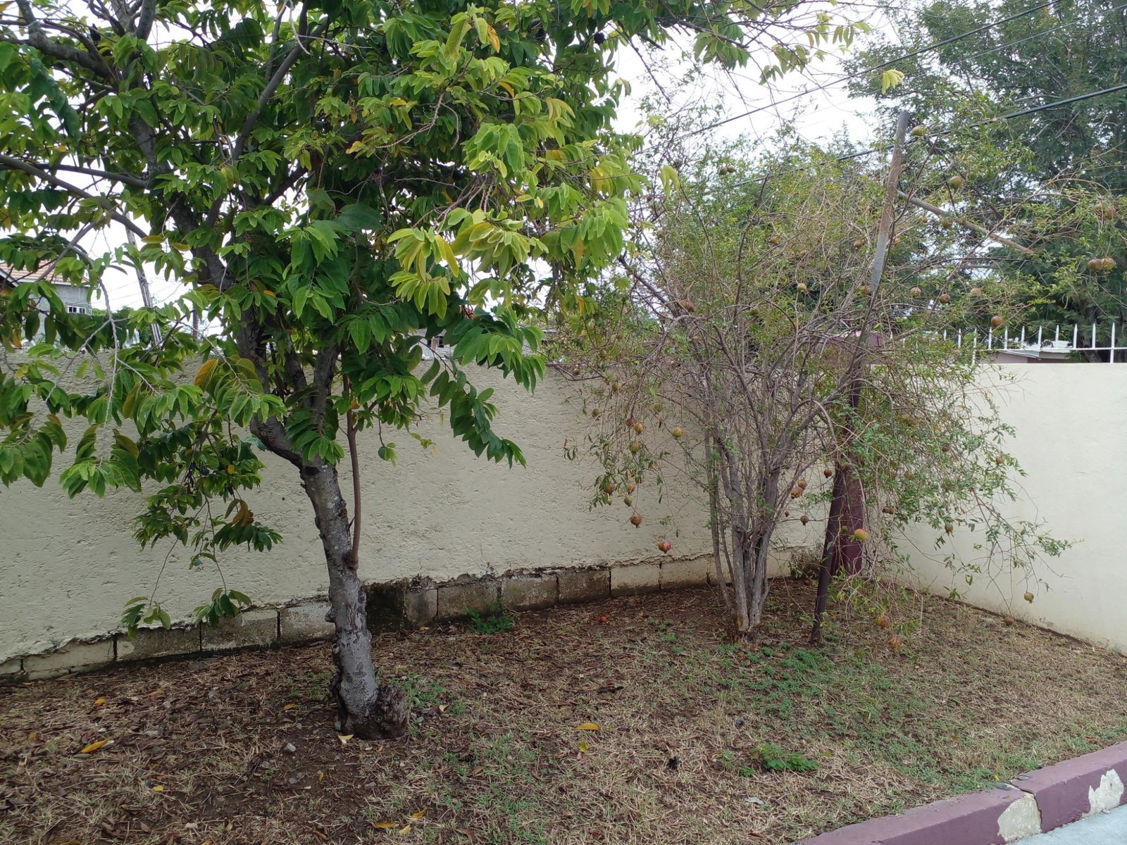 Sixteenth image of 14 Wildwood Close, Westmore in Spanish Town, St. Catherine, Jamaica - property is For Sale