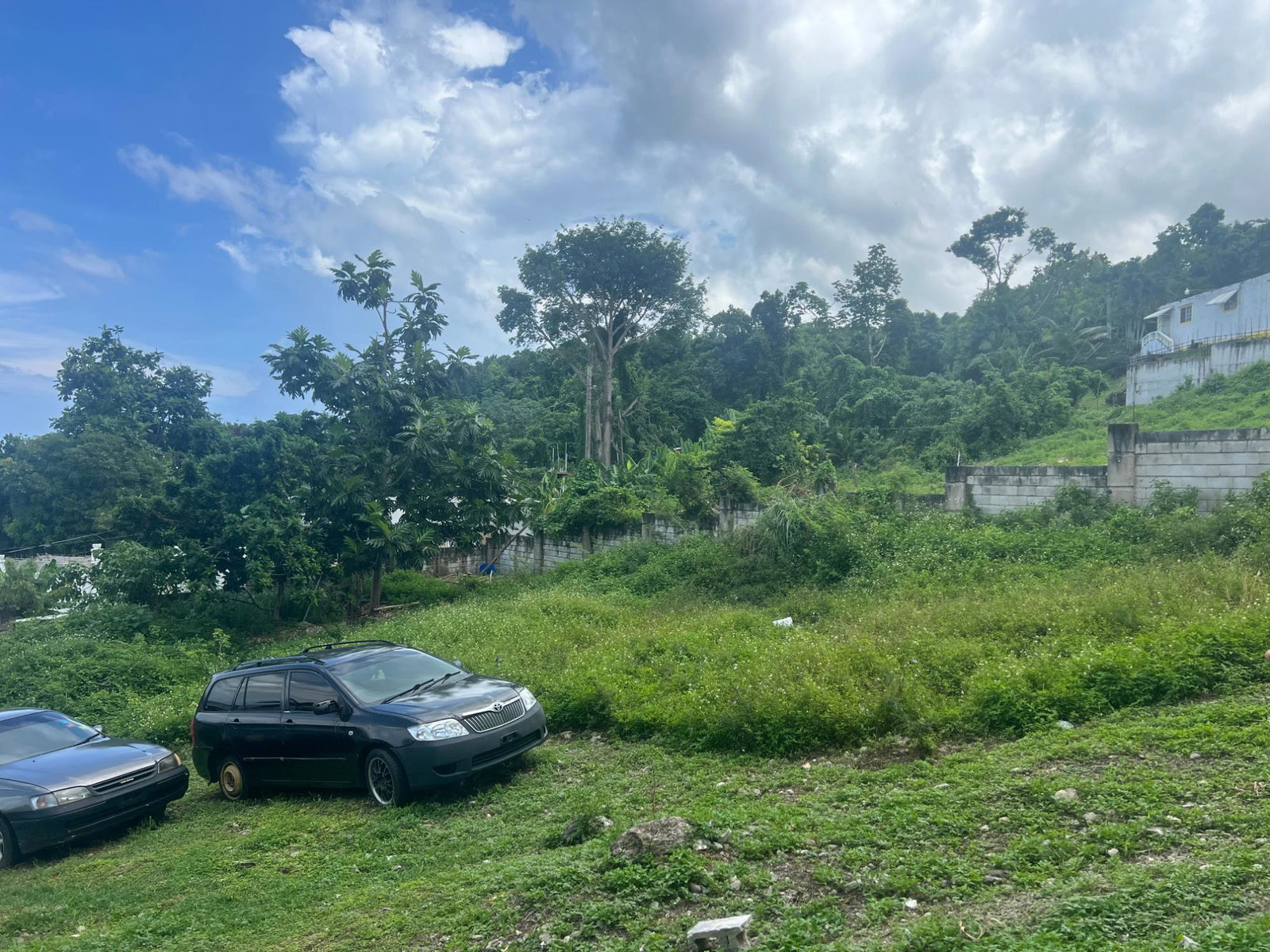 Fourth image of Lot 64 Poincianna Hills Estate, in Cousins Cove, Hanover, Jamaica - property is For Sale