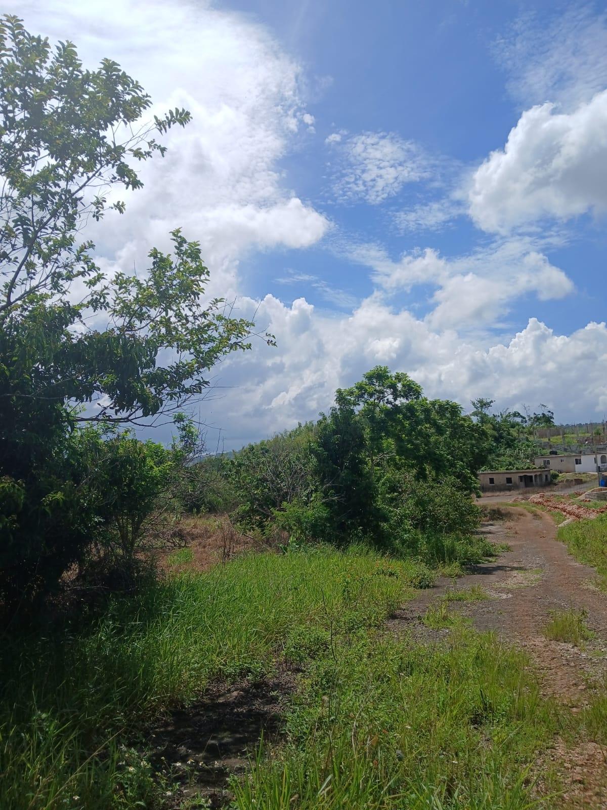 Second image of Knockpatrick Large Lot in Knockpatirck, Manchester, Jamaica - property is For Sale