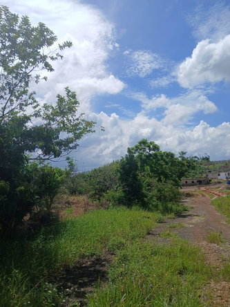 Second image of Knockpatrick Large Lot in Knockpatirck, Manchester, Jamaica - property is For Sale