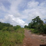 First image of Knockpatrick Large Lot in Knockpatirck, Manchester, Jamaica - property is For Sale