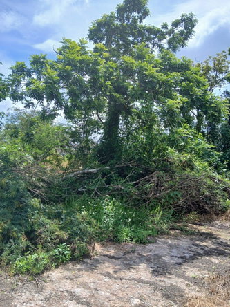 Third image of Knockpatrick Large Lot in Knockpatirck, Manchester, Jamaica - property is For Sale
