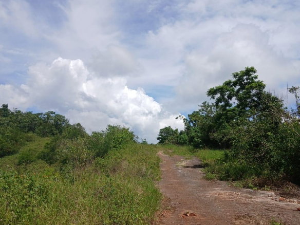 First image of Knockpatrick Large Lot in Knockpatirck, Manchester, Jamaica - property is For Sale