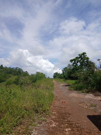 First image of Knockpatrick Large Lot in Knockpatirck, Manchester, Jamaica - property is For Sale