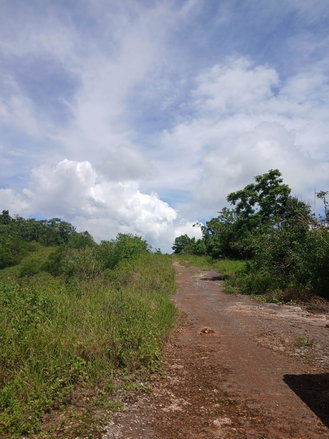 First image of Knockpatrick Large Lot in Knockpatirck, Manchester, Jamaica - property is For Sale
