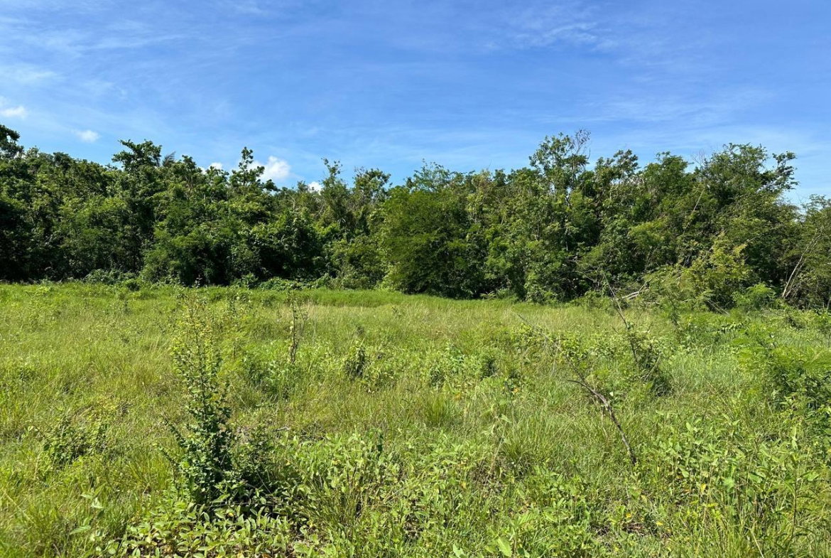 Second image of Lot 1 Part of Haughton Court in Esher, Hanover, Jamaica - property is For Sale