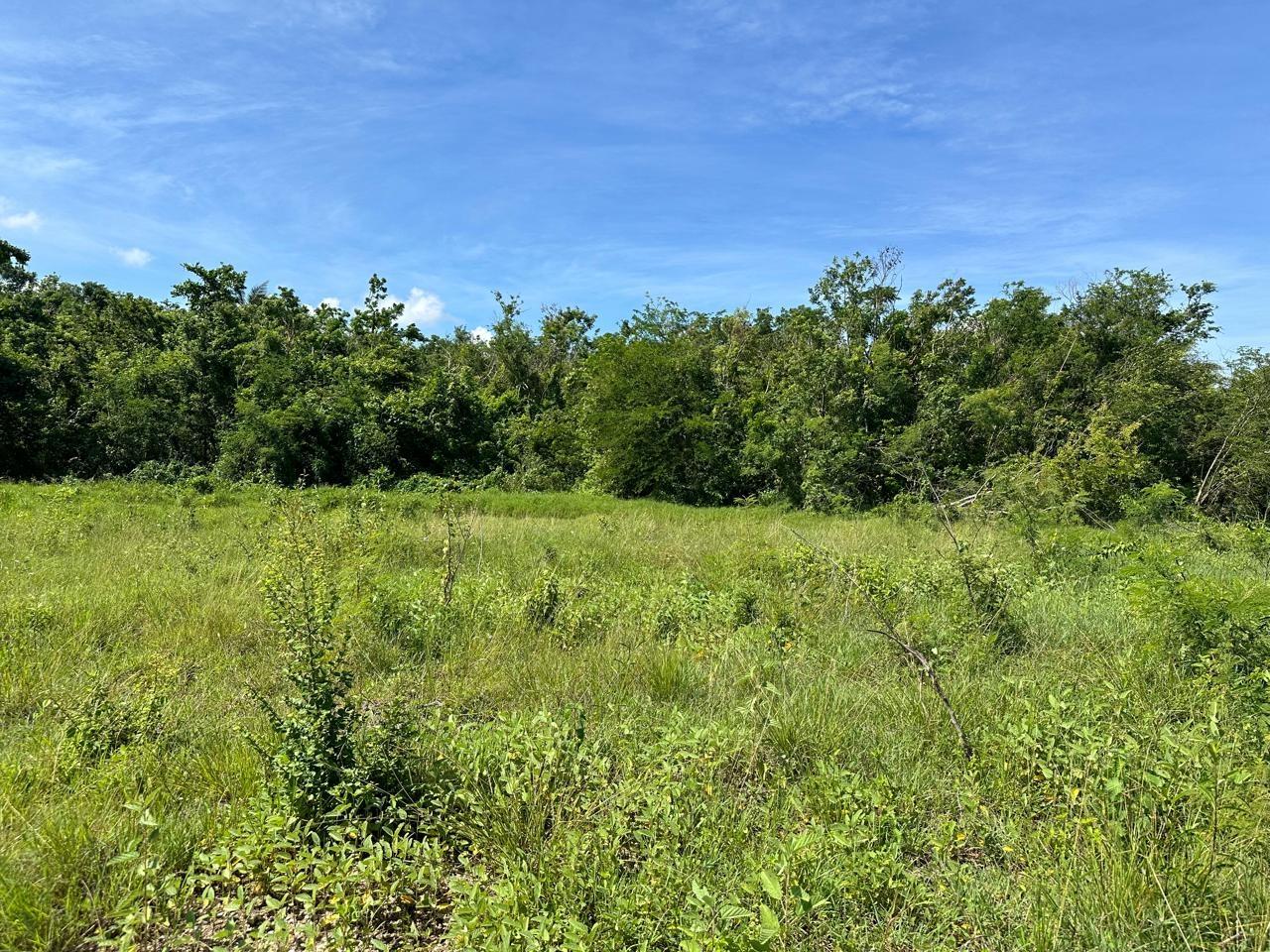 Second image of Lot 1 Part of Haughton Court in Esher, Hanover, Jamaica - property is For Sale