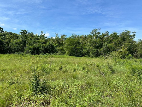 Second image of Lot 1 Part of Haughton Court in Esher, Hanover, Jamaica - property is For Sale