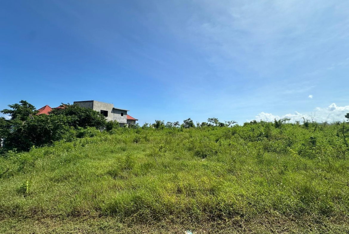 First image of Lot 1 Part of Haughton Court in Esher, Hanover, Jamaica - property is For Sale