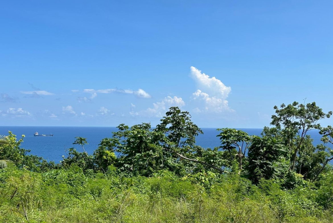 Third image of Lot 1 Part of Haughton Court in Esher, Hanover, Jamaica - property is For Sale