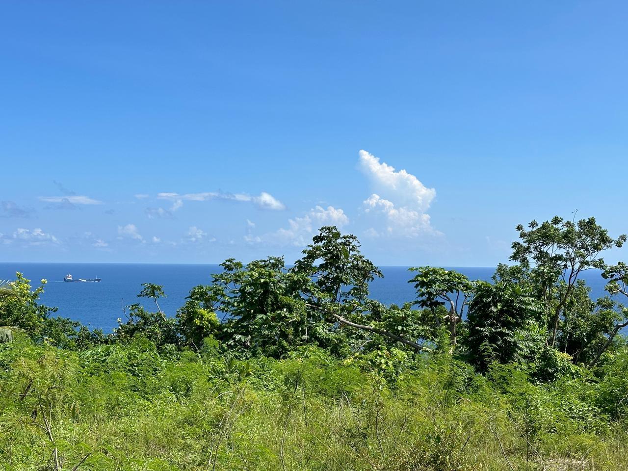 Third image of Lot 1 Part of Haughton Court in Esher, Hanover, Jamaica - property is For Sale