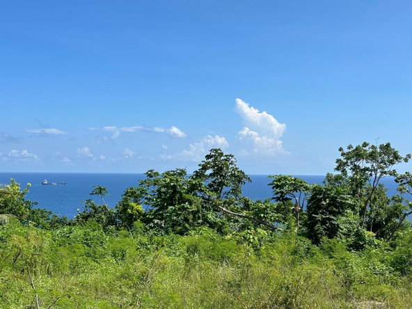 Third image of Lot 1 Part of Haughton Court in Esher, Hanover, Jamaica - property is For Sale
