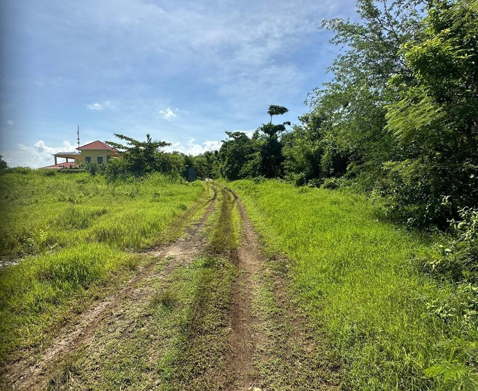 Fourth image of Lot 1 Part of Haughton Court in Esher, Hanover, Jamaica - property is For Sale