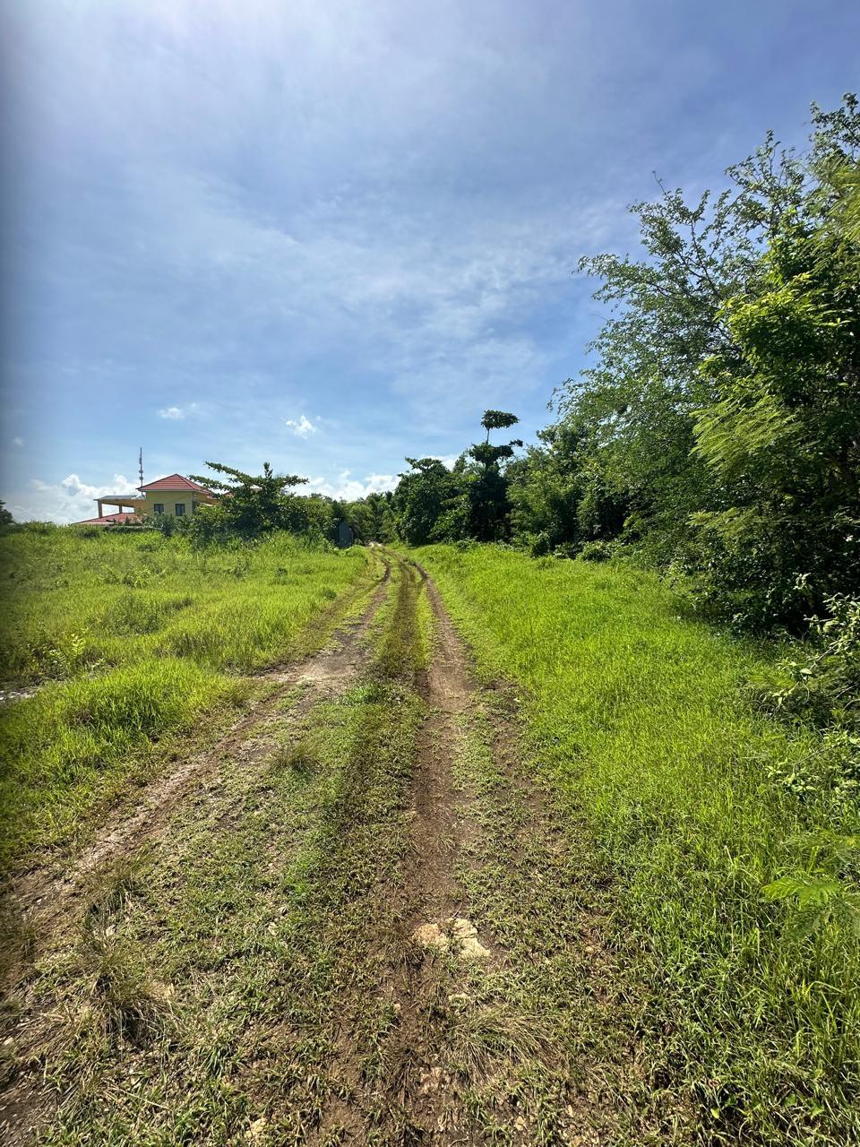 Fourth image of Lot 1 Part of Haughton Court in Esher, Hanover, Jamaica - property is For Sale