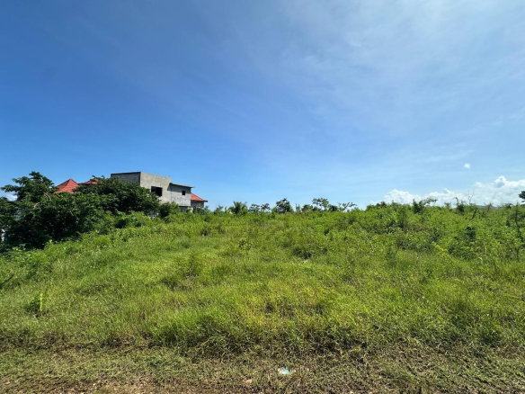 First image of Lot 1 Part of Haughton Court in Esher, Hanover, Jamaica - property is For Sale