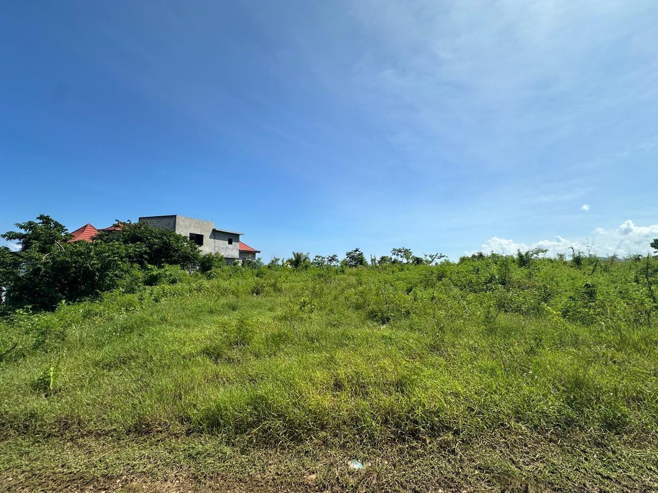 First image of Lot 1 Part of Haughton Court in Esher, Hanover, Jamaica - property is For Sale