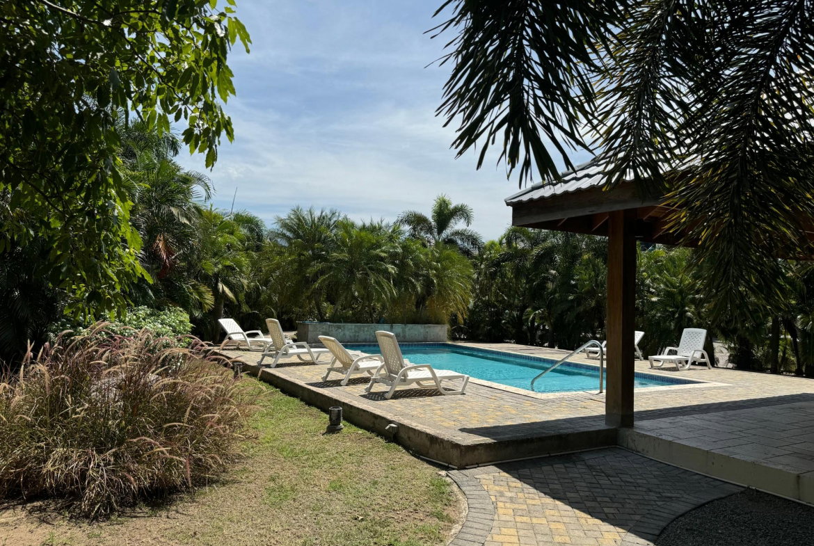 Sixth image of 10-17 East Kings House Road in Kingston 6, St. Andrew, Jamaica - property is For Rent