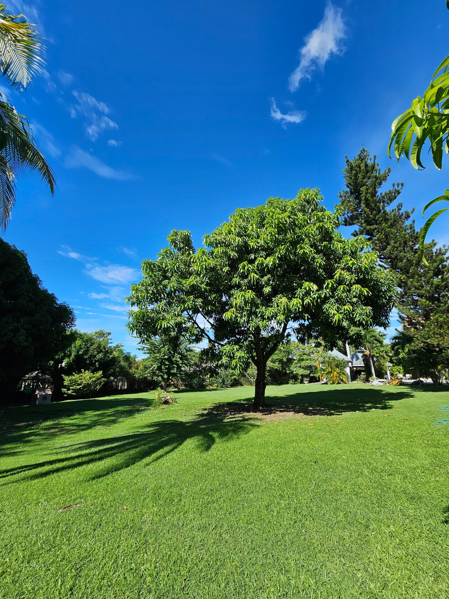 Luxury-2-Bedroom-Apartment-for-Rent-in-Manor-Court-Kingston-8 Tenth image of 1g- Manor Court in Kingston 8, St. Andrew, Jamaica - property is For Rent