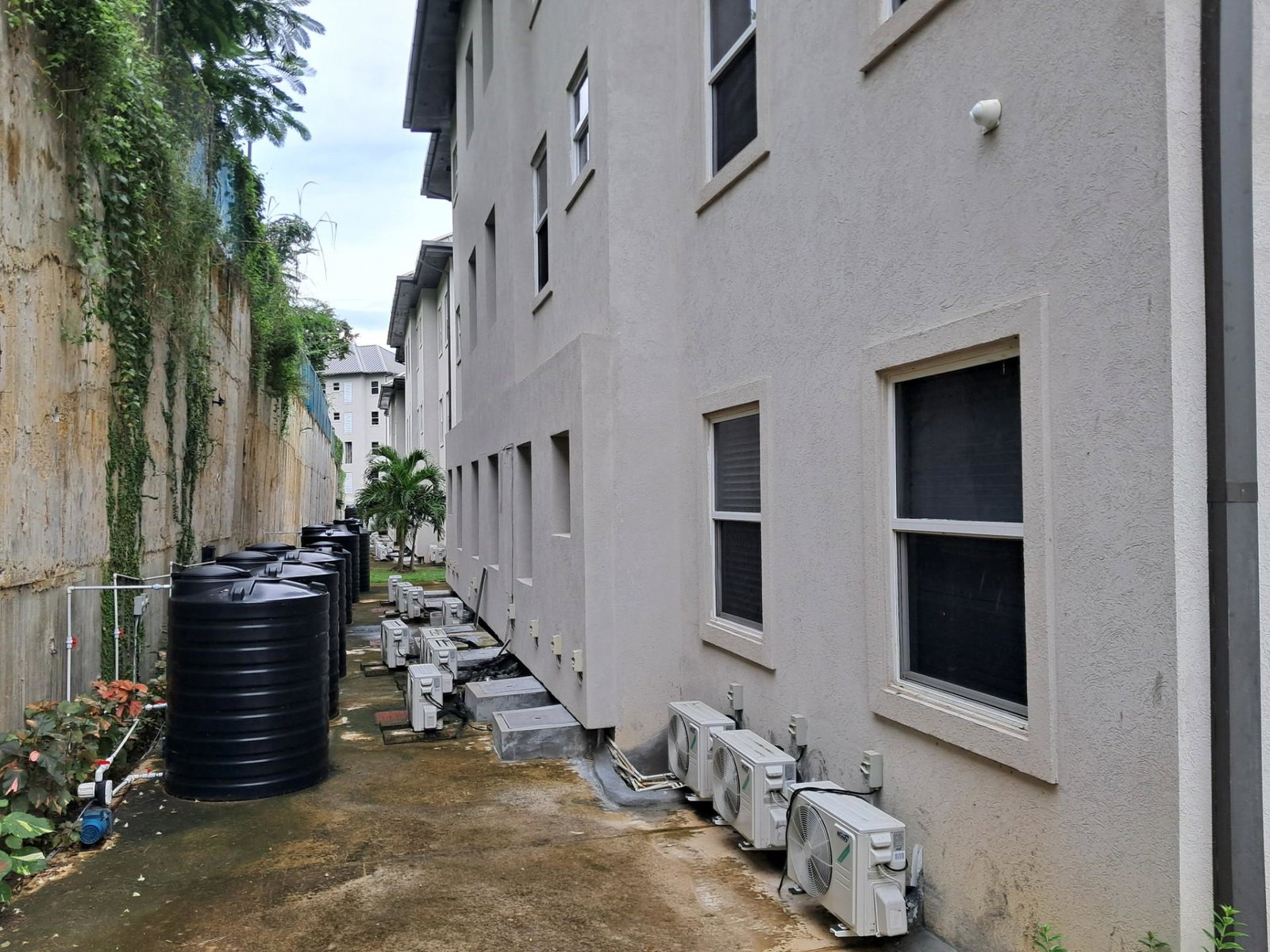 Twenty-Fourth image of E3-4-6 Spring Gardens in Spring Garden, St. James, Jamaica - property is For Rent