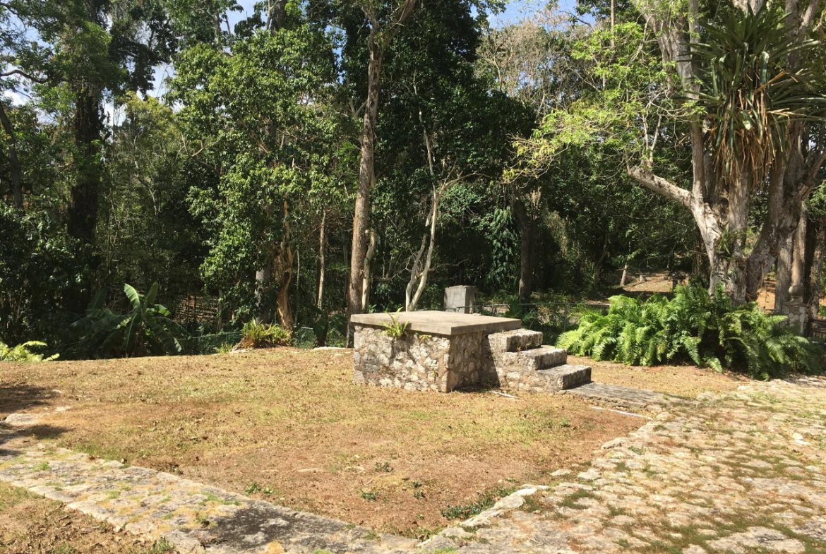Twenty-Eighth image of Prospect Estate in Tower Isle, St. Mary, Jamaica - property is For Rent