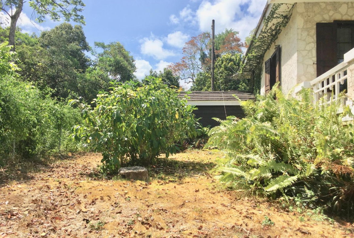 Twenty-Ninth image of Prospect Estate in Tower Isle, St. Mary, Jamaica - property is For Rent